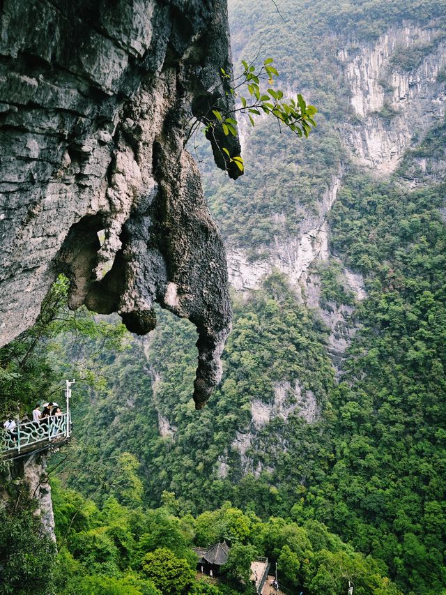 “想你的風還是吹倒了屏山”，恩施以峽谷而出名，讓我印象最為深刻的無疑就是屏山大峽谷