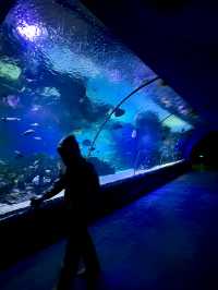 我真的沒想到！大連極地這麼好拍！！！