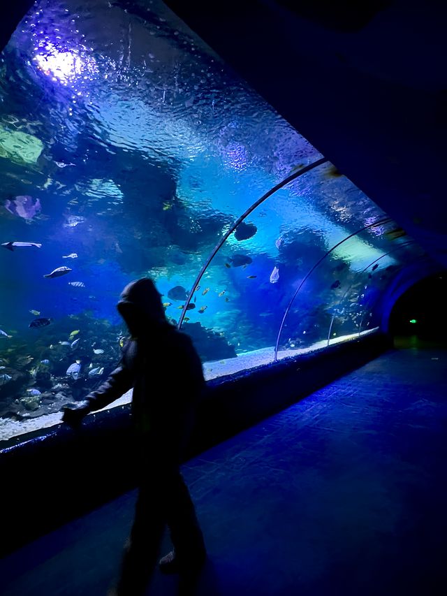 我真的沒想到！大連極地這麼好拍！！！