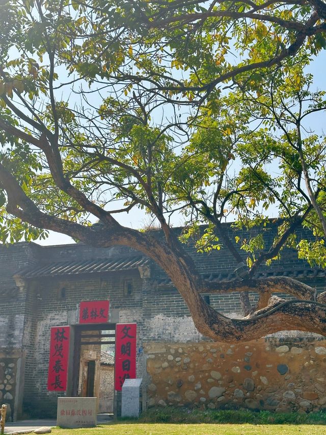 朋友以為我去了大理廣東的古村落太美了