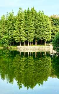 古鎮即酒店，公園是它家花園
