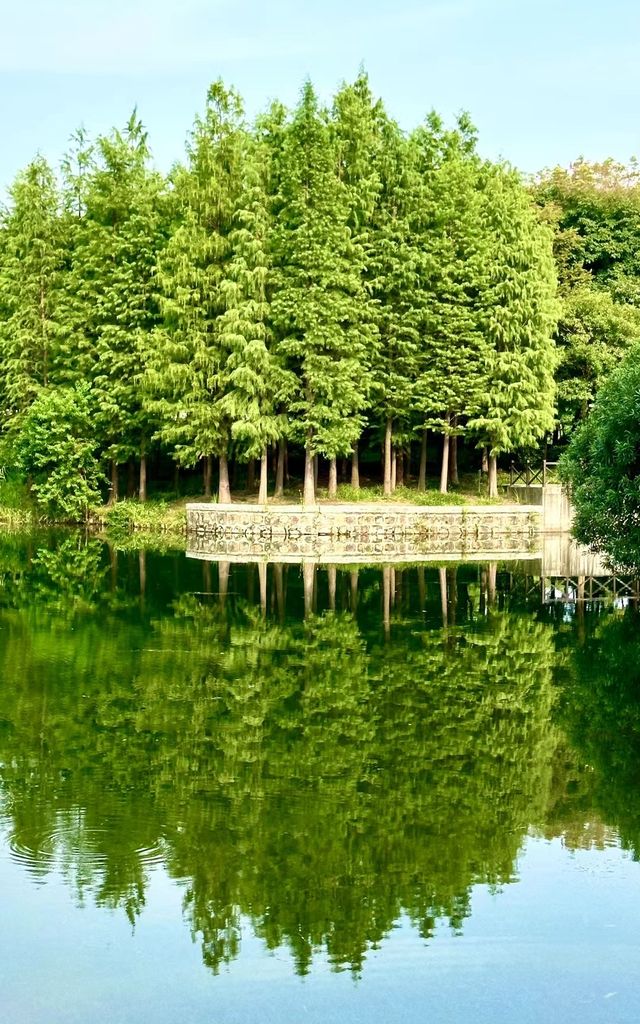 古鎮即酒店，公園是它家花園