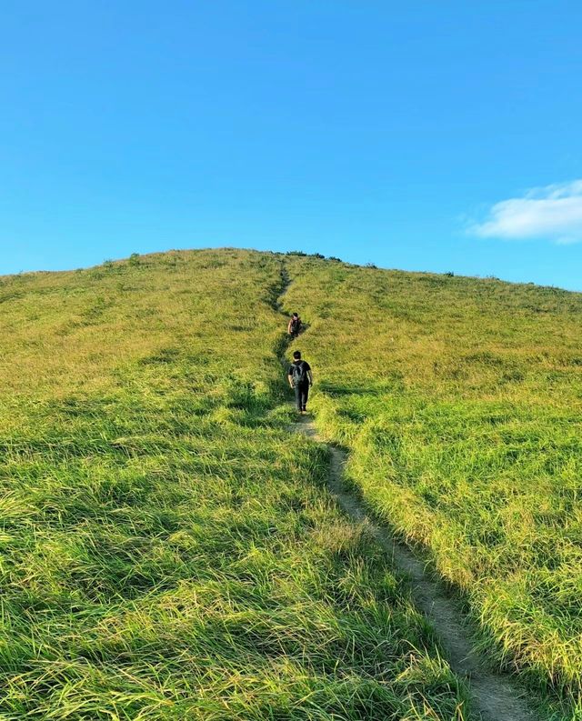 不輸武功山!!霞浦大嵛山島萬畝天然草場