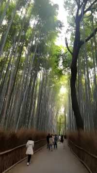 京都郊區一日遊