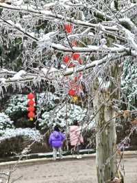 大家都去紫金山而我們來了幕府山
