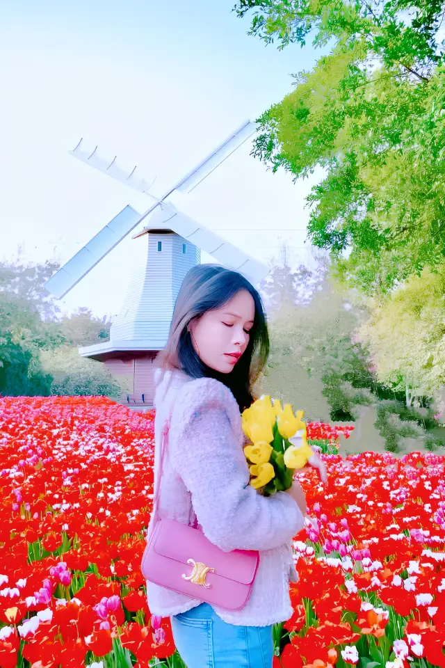 Amazing! The top tulip flower sea in China that has been asked about 100 times