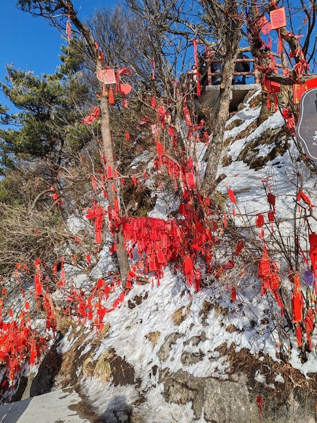 打卡  《老君山》