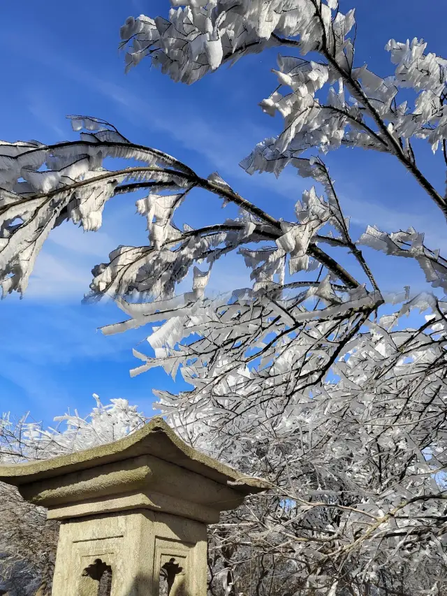 花果山很好下次還要來 剛下過雪後的花果山美的夢幻