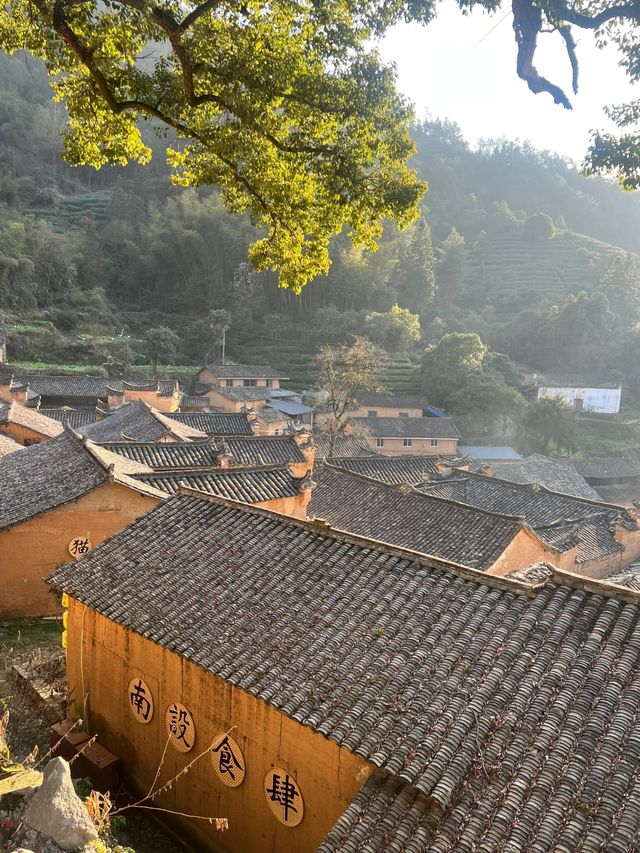 在麗水松陽｜藏在山裡的古村·楊家堂村