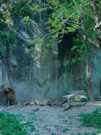 上海動物園遊玩攻略