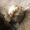 Turner_Annabelle_13