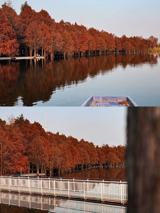 芜湖旅遊：寶藏地不再低調，附實用攻略
