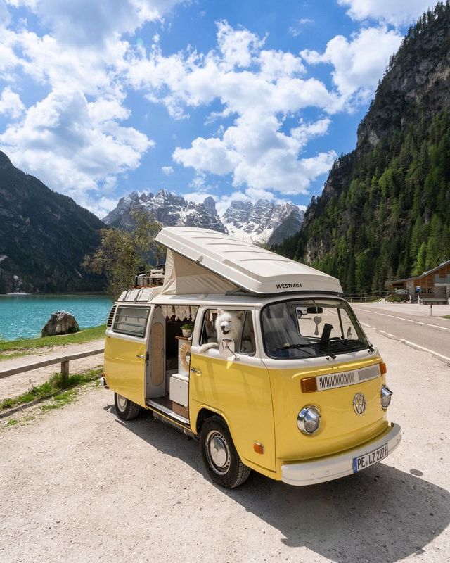 Join Felix and Daisy on their Vanlife Adventure in Italy! 🇮🇹😁