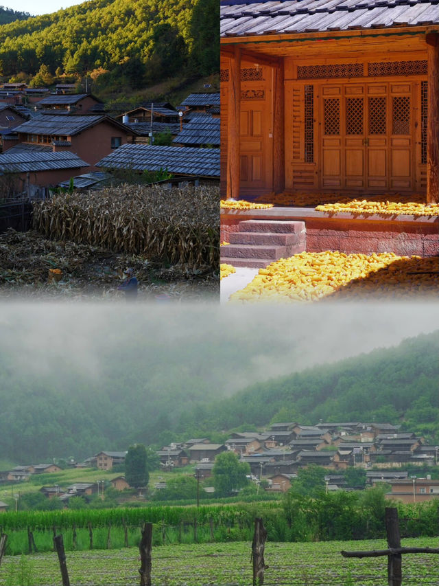 雲南最不該被遺忘的古老村落-怒江羅古箐