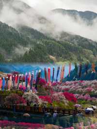 長野小眾賞櫻地，阿智村花桃之里