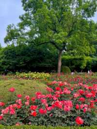 逛公園是一種怎樣的體驗這份合集就來告訴你