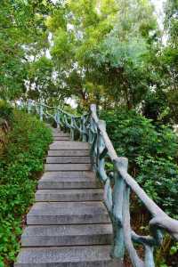 深圳無人知道的小眾打卡點:免預約、免門票