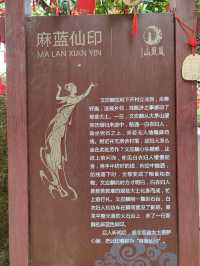 攀登深圳十峰之一的鳳凰山