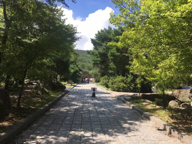 梵魚寺~觀景爬山確實是觀景佳地