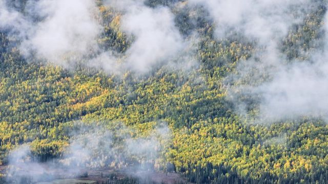 禾木村—樹樹皆秋色，山山唯落暉