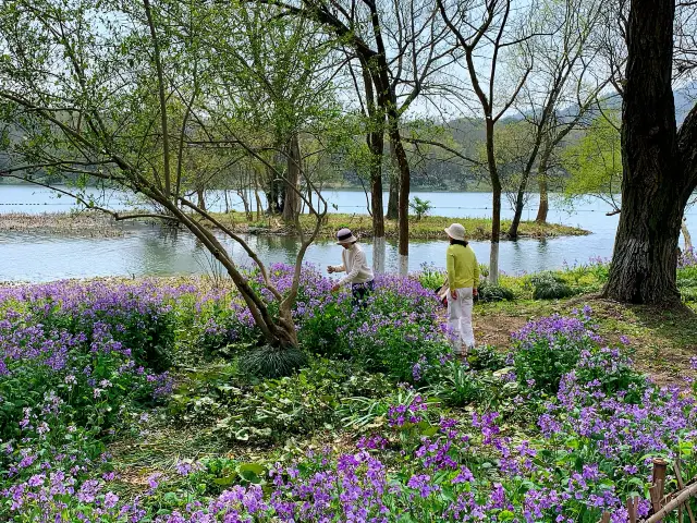 West Lake Secret Realm - Maojiabu