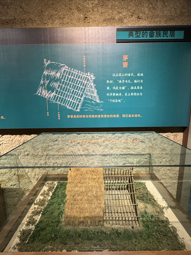 景寧畬族博物館 景寧畬族博物館