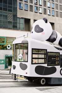 重慶gai溜子！街頭偶遇國民頂流熊貓纜車