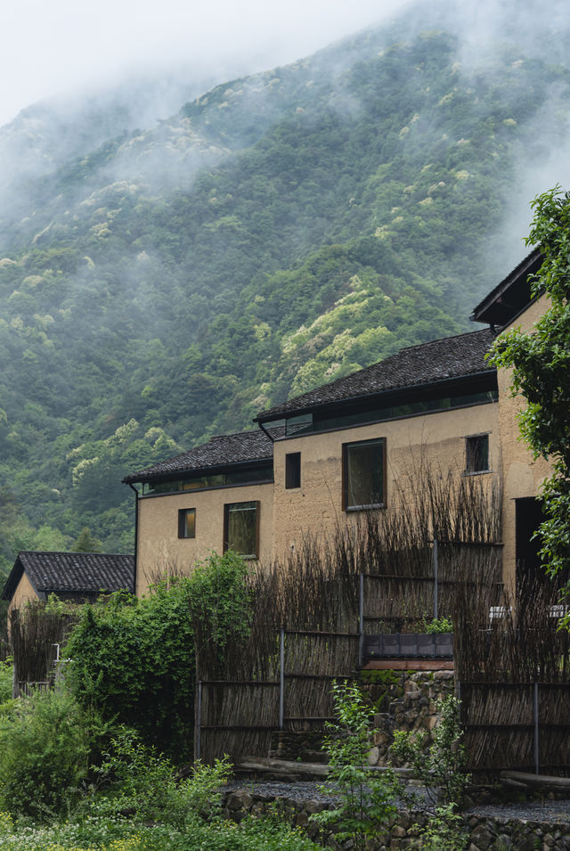 現實版富春山居圖：山野中隱逸，藝術中沉浸