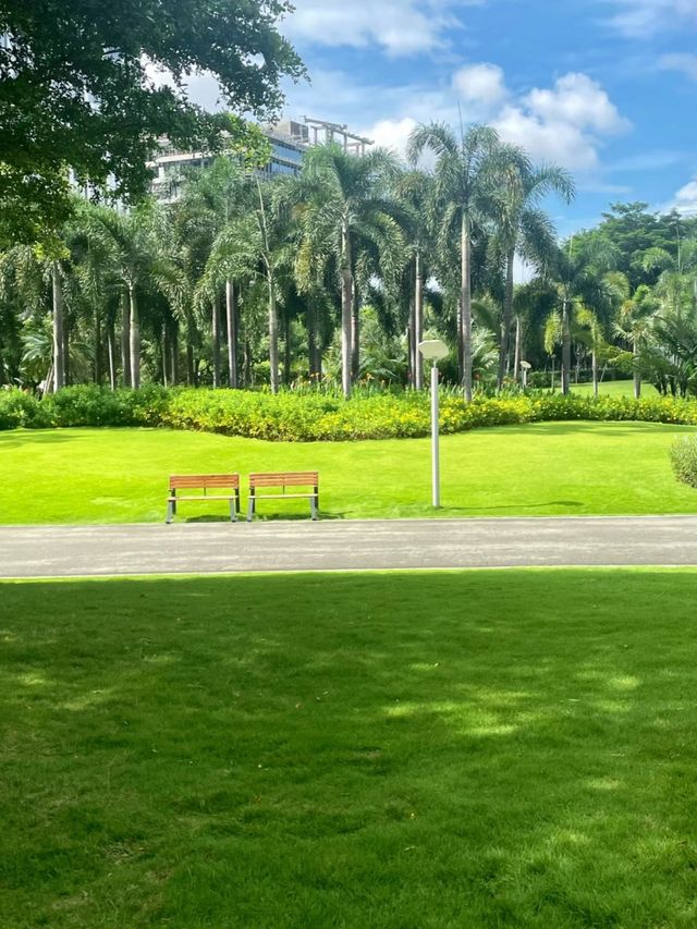 深圳桂灣公園｜城中“水廊道”