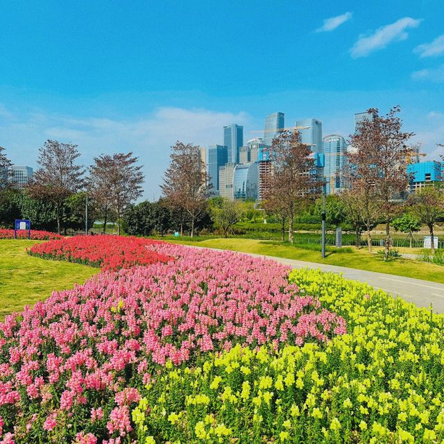 深圳桂灣公園｜城中“水廊道”