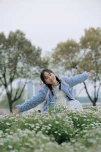 虞美人跟風失敗後，我拍到了絕美小雛菊！