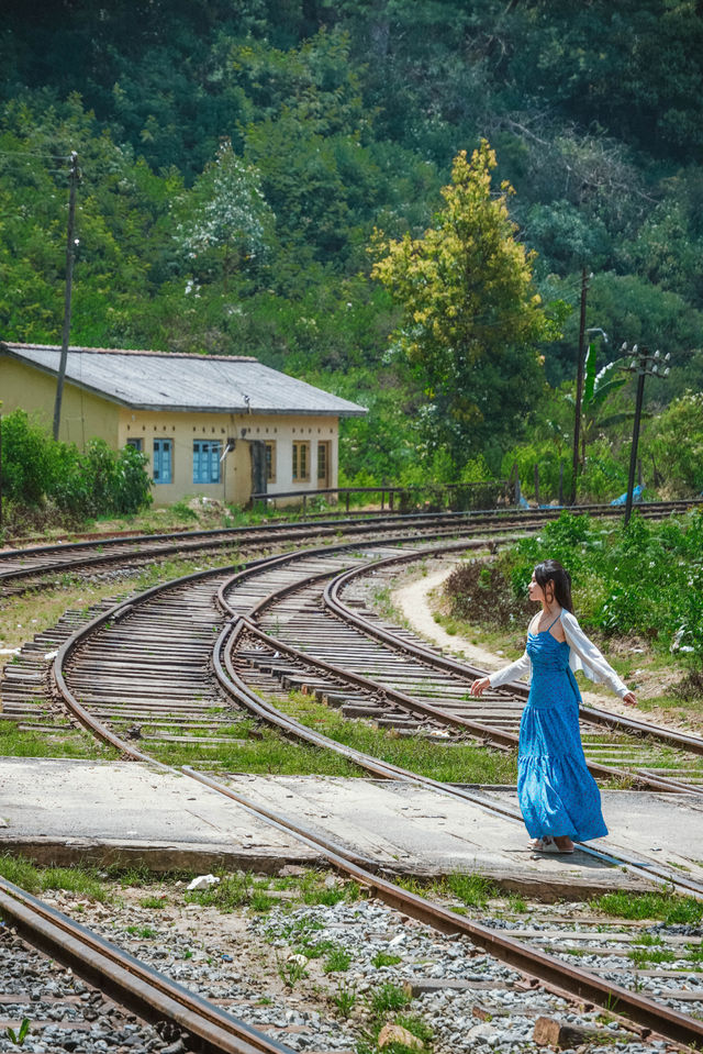 穿越高山茶園的斯里蘭卡火車！掛火車享受自由的風