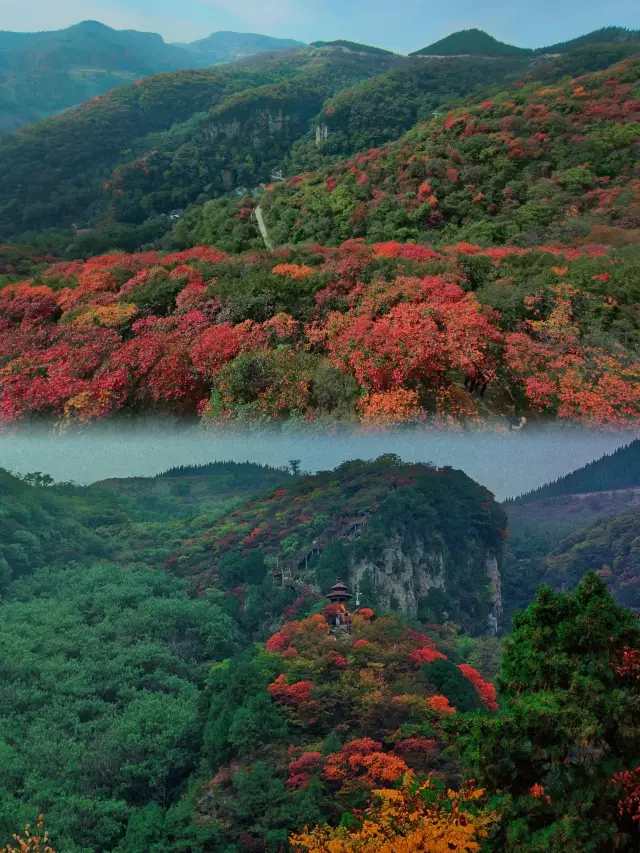 山東淄博看紅葉最推薦的一個旅遊區