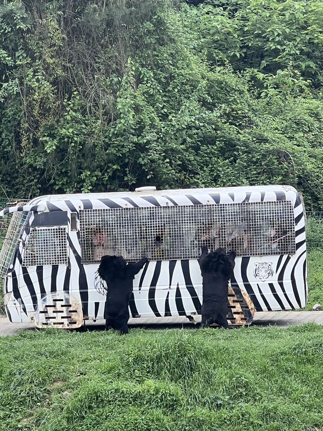 貴陽森林野生動物園一日遊