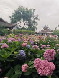 德陽 綿竹一日遊