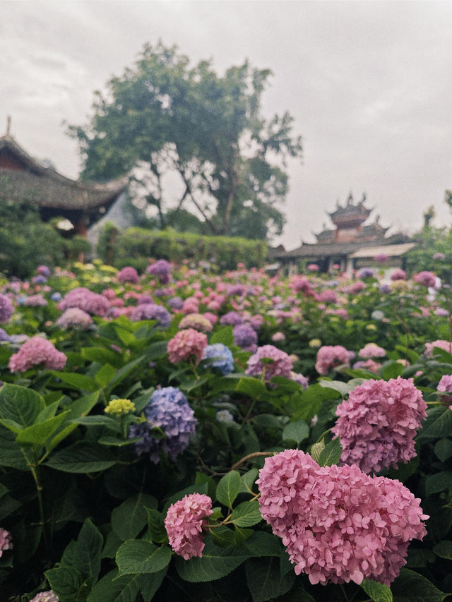 德陽 綿竹一日遊 德陽 綿竹一日遊