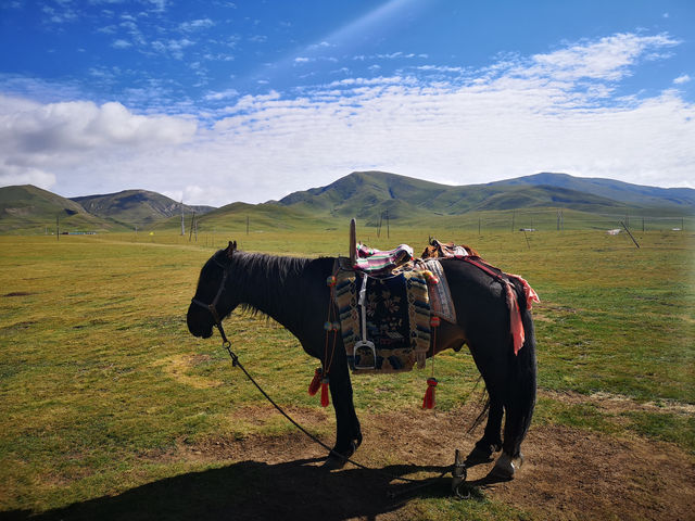 為你規劃為期七天六晚的青海敦煌環線之旅。