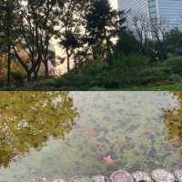 靜安公園～心靜之地