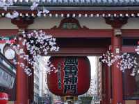 東京景點｜淺草寺 雷門
