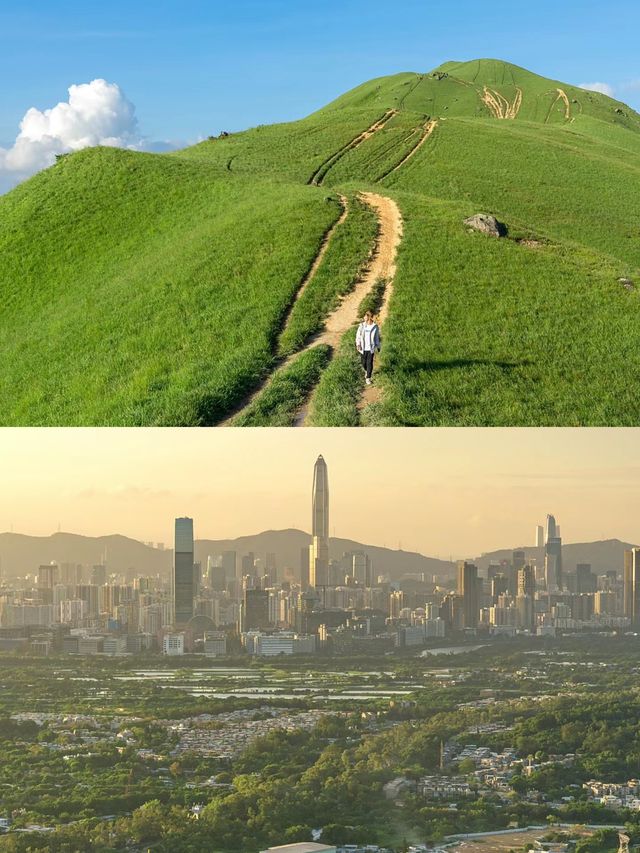 深圳40分鐘直達的山頂草原，美哭了