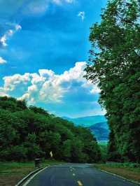 哈爾濱金龍山|夏天一起擱山裡吸氧吧