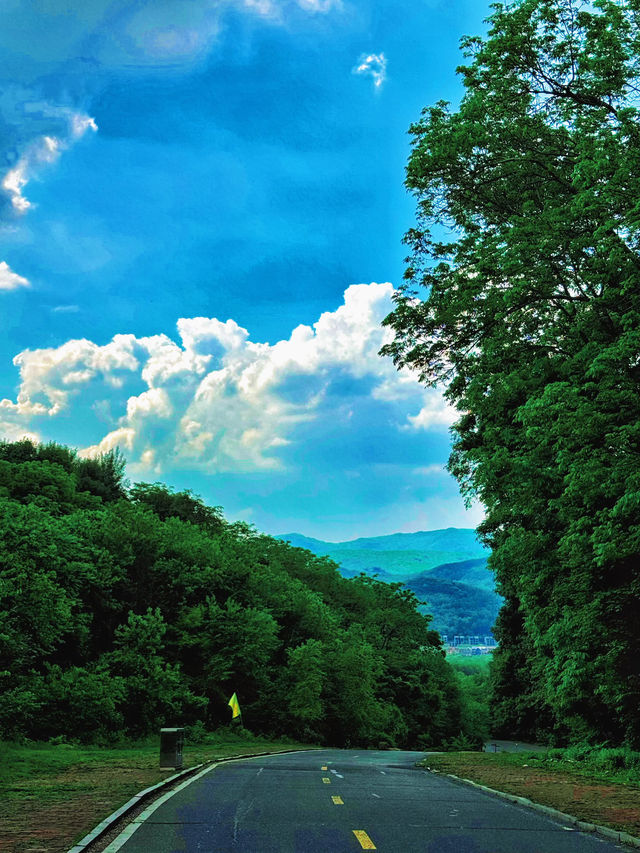 哈爾濱金龍山|夏天一起擱山裡吸氧吧