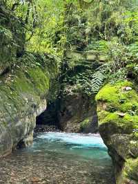 成都周邊2h，看猴子耍水輕徒步好去處