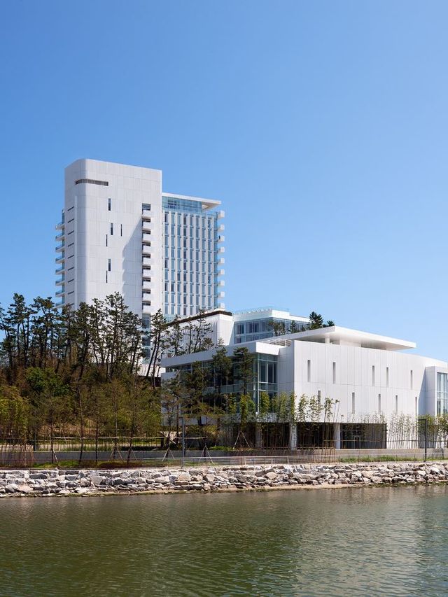 🌊✨ Gangneung's Seamarq Hotel: A Coastal Gem 🏖️🌟