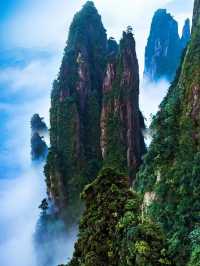 這座山不用爬就可以看美景啊