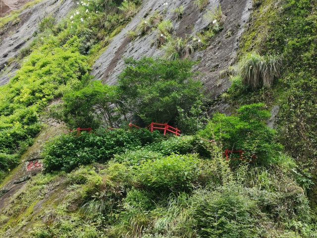 武夷山大紅袍景區