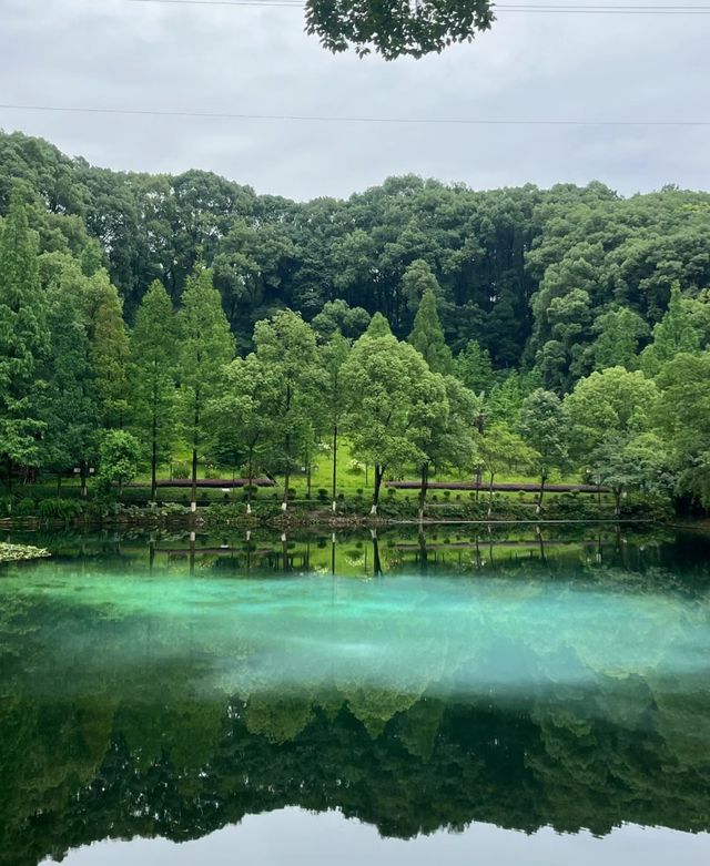 忠山公園 || 瀘州