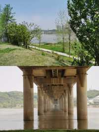 長沙周邊遊——洋湖濕地公園