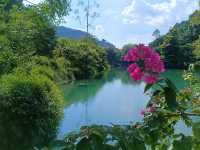 肇慶紫雲谷，廣東九寨溝