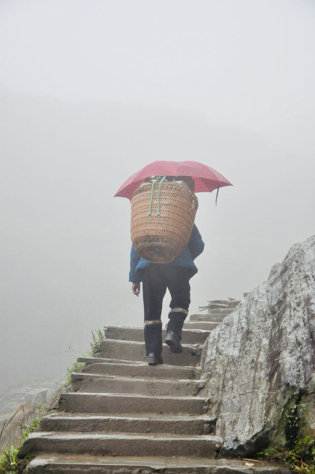 龍脊梯田：下雨著實讓人心碎